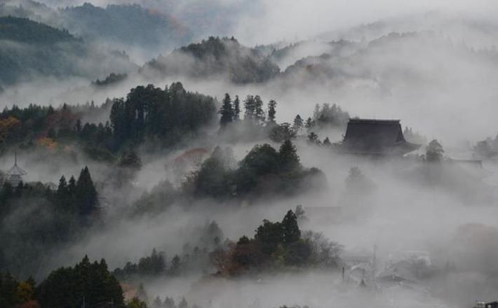 “ほっ”と落ち着く癒しの空間すずめのかくれんぼ